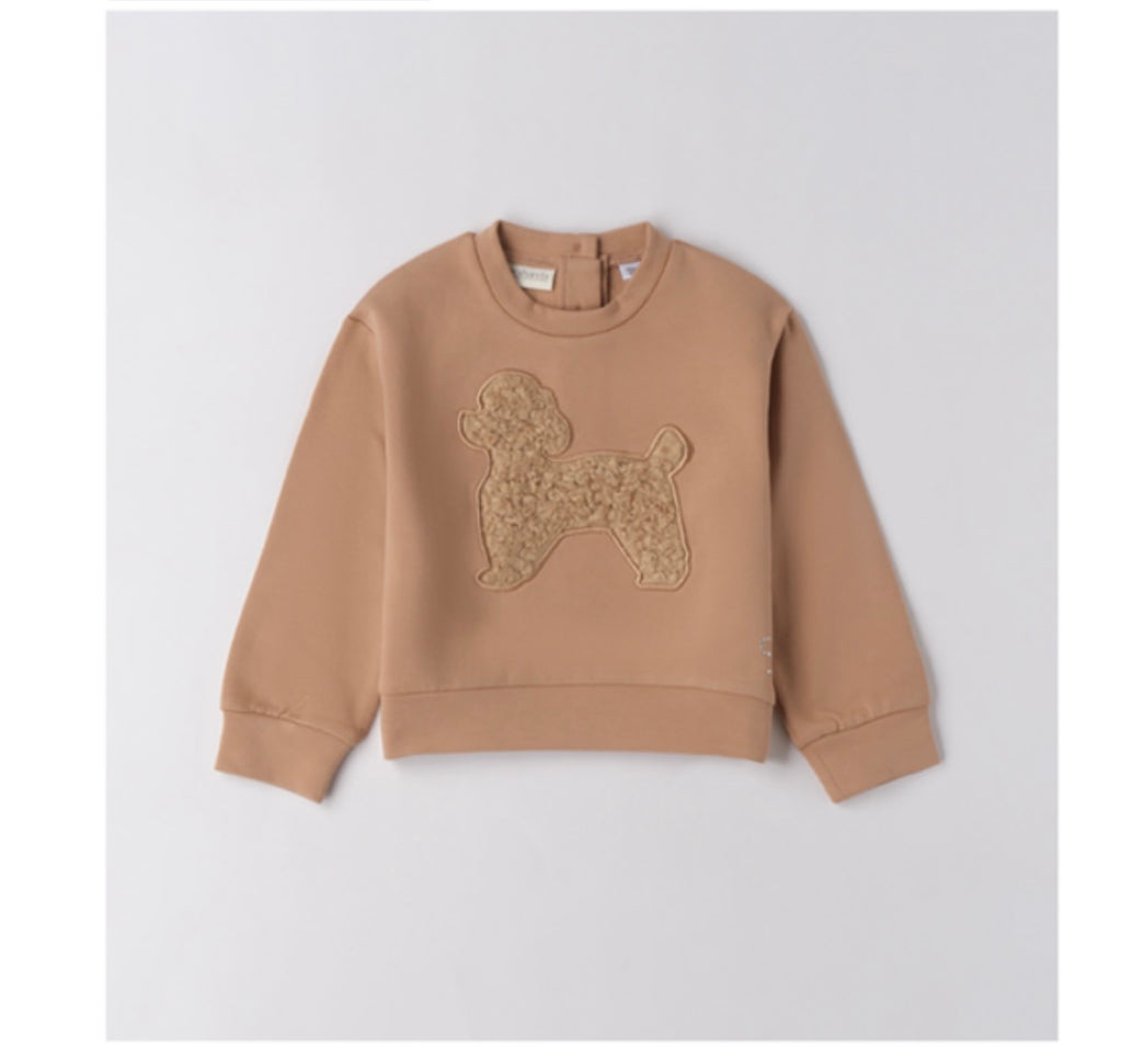 Sweat Teddy for Girl