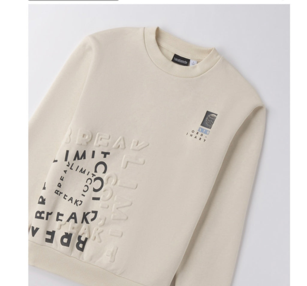 Sweatshirt Boy