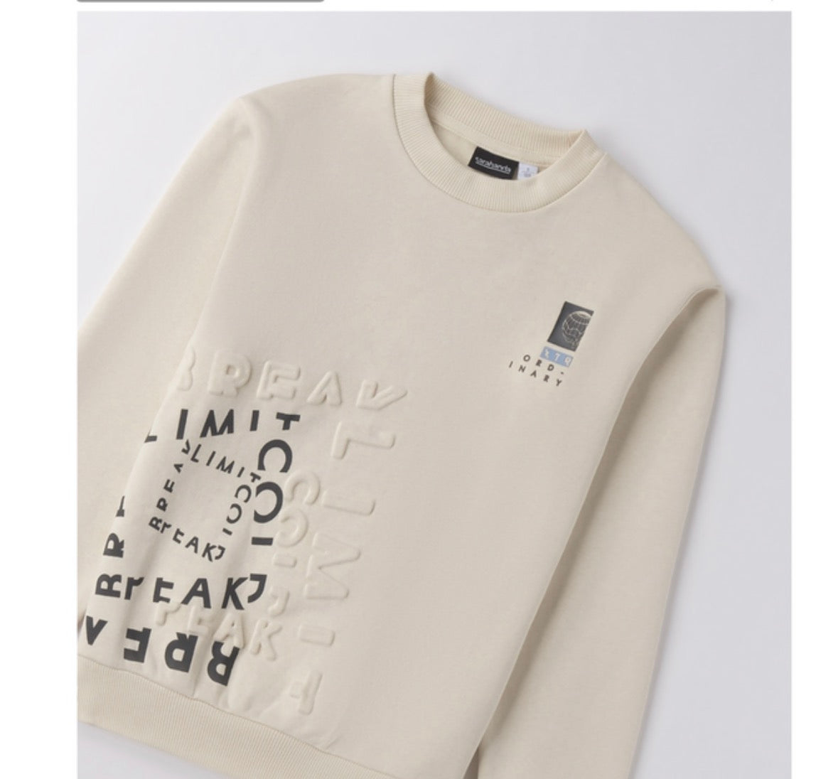Sweatshirt Boy