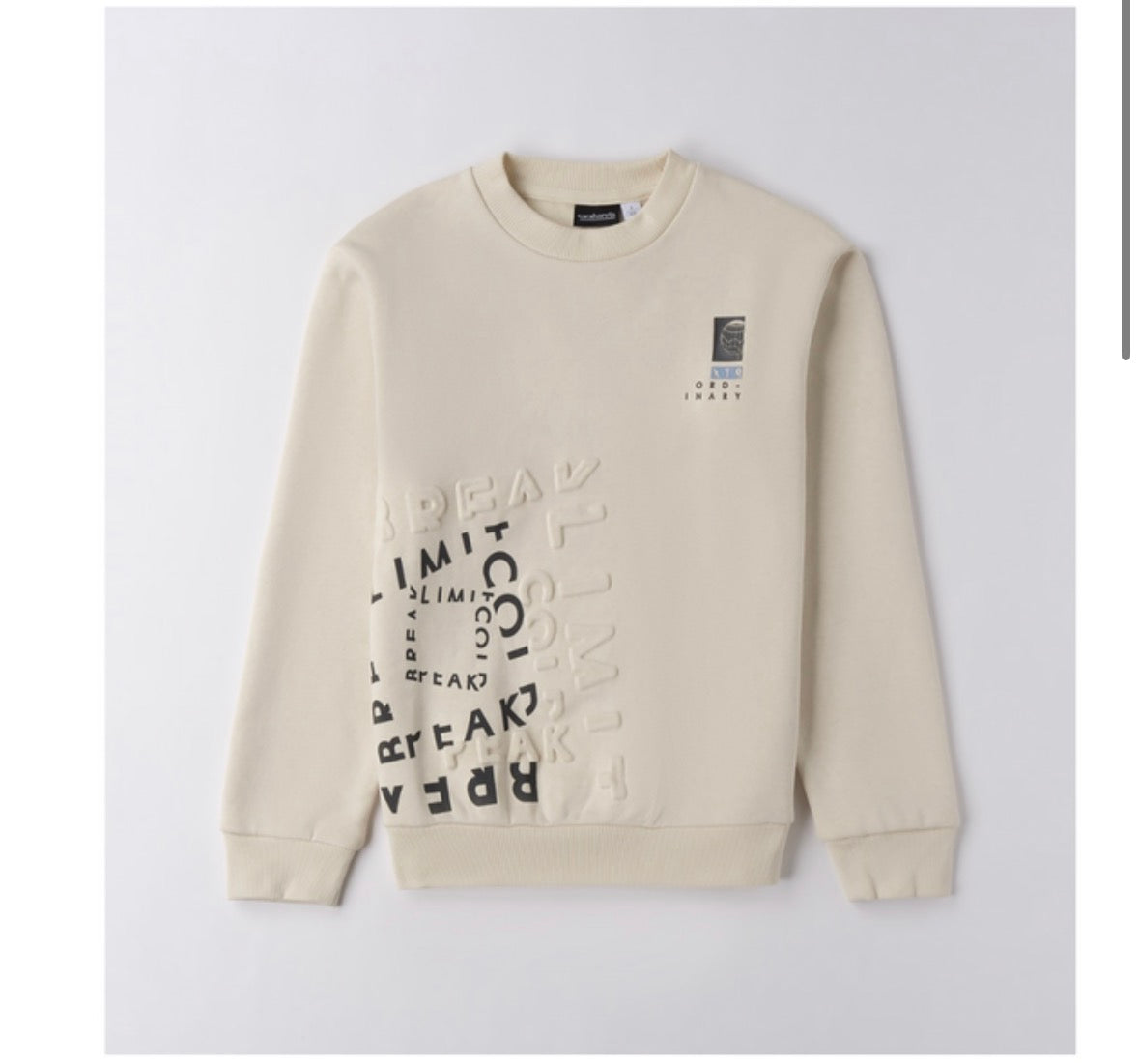 Sweatshirt Boy