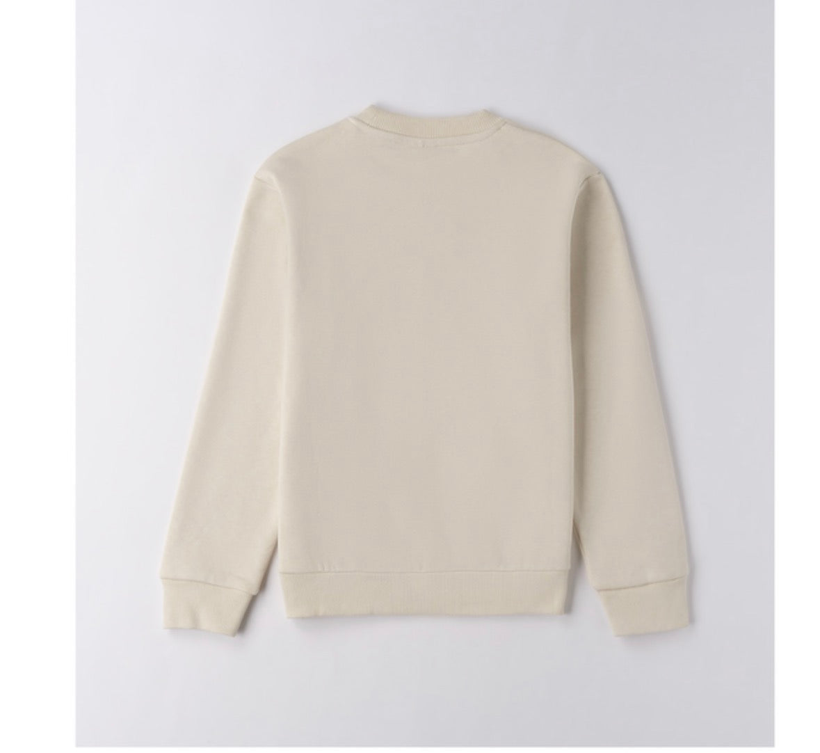 Sweatshirt Boy