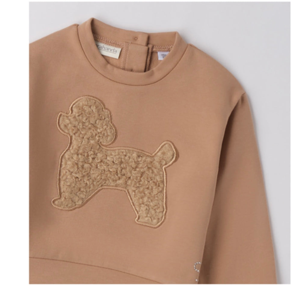 Sweat Teddy for Girl