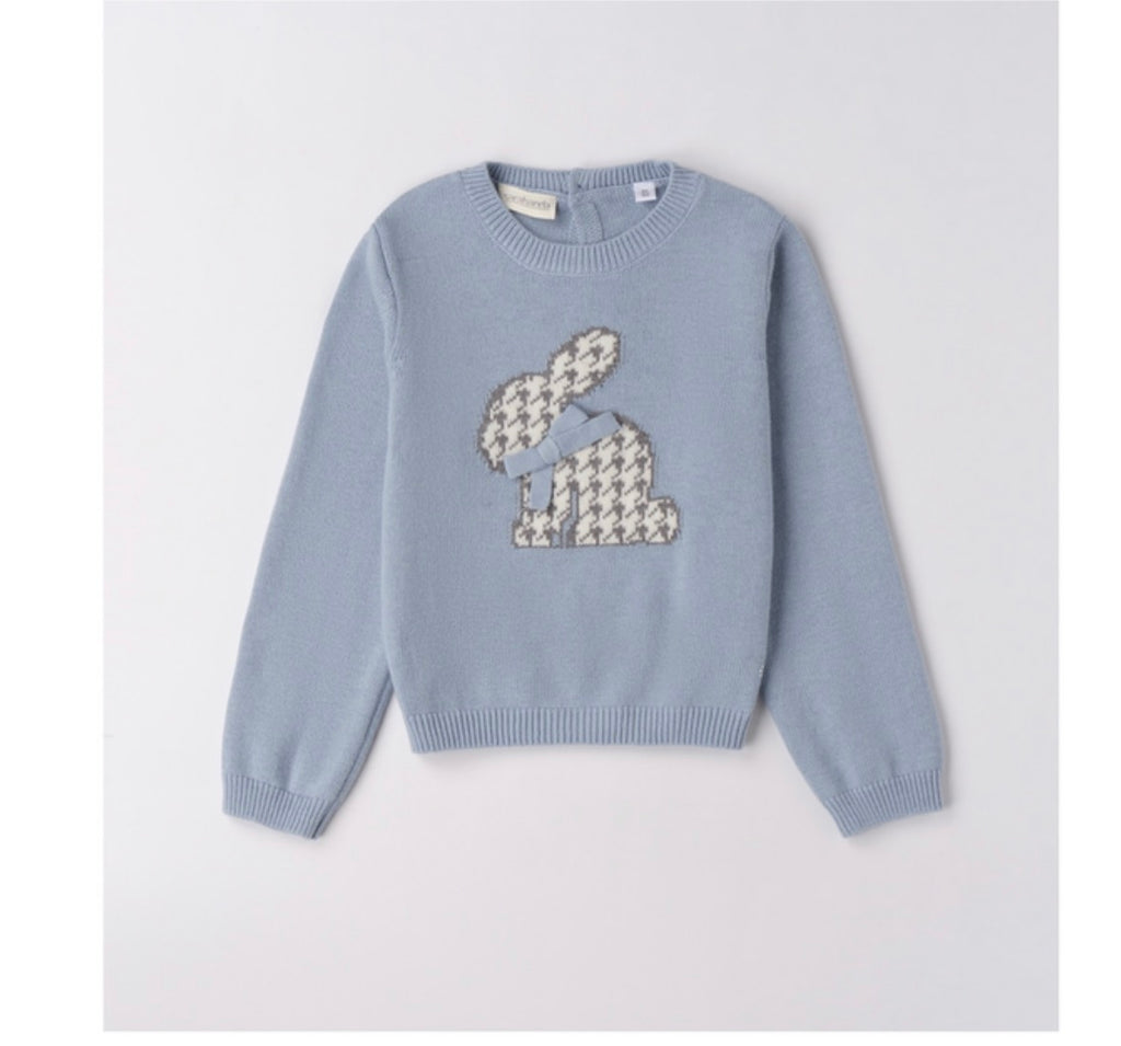 Sweatshirt for Girl
